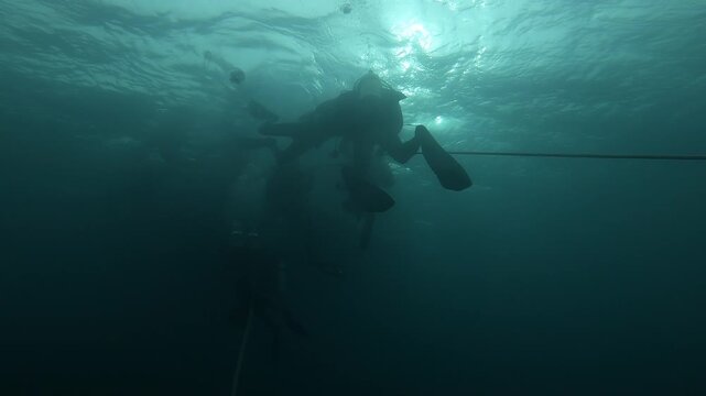 Scuba diver exploring coral reef. Underwater swimmer diving in blue ocean.