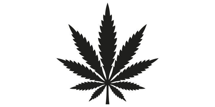 Cannabis sativa leaf, a black silhouette of a marijuana plant used for design elements.
