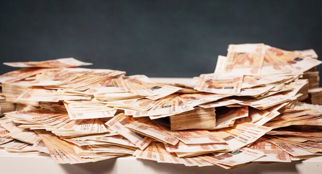 gray british cat is among a lot of money, business concept