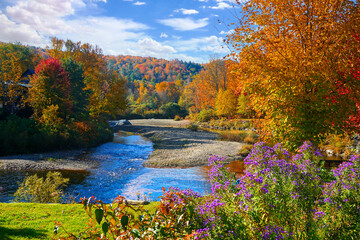 Beautiful autumn colors along a river in the countryside of Vermont, USA © Jenifoto