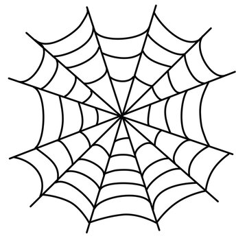 spider and web