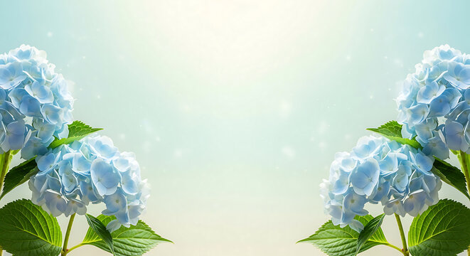 hydrangea blue flowers bloom on a soft pastel background