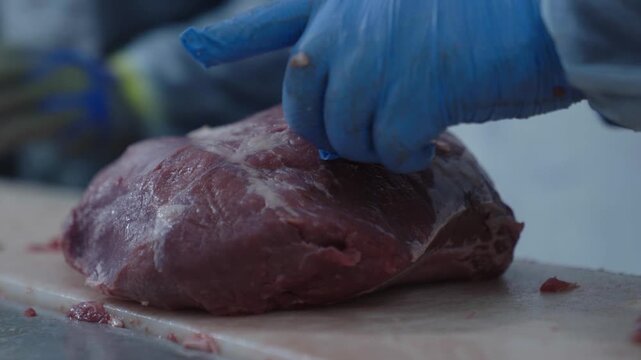 Ground Meat in Industrial Food Processing Facility
