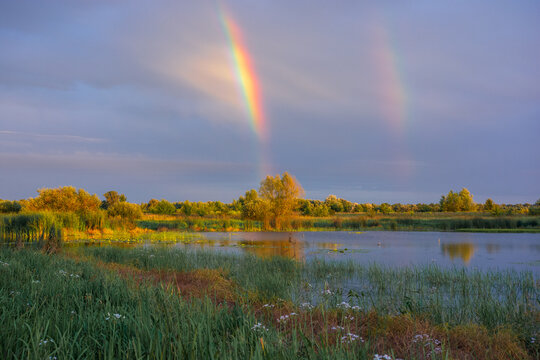 A double rainbow stretches across a cloudy sky over a serene, grassy lake surrounded by lush green trees at sunset