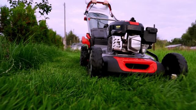 Lawn mower cuts grass with power and precision. Person operates machine with focus and care. Fresh green grass yields to neat, trimmed lawn. Ideal for gardening, landscaping