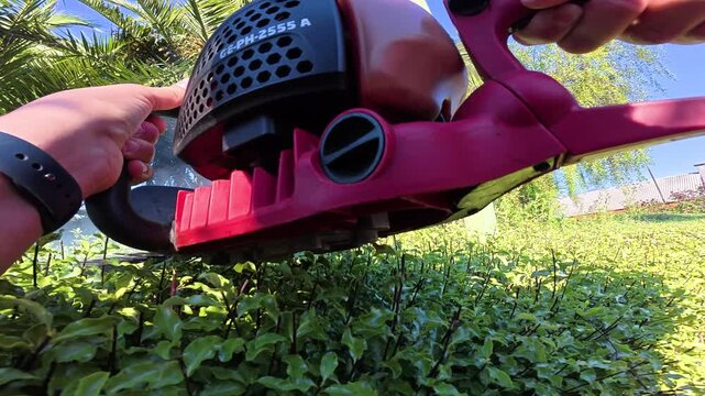 Close Up of Electric Hedge Trimmer Cutting Green Garden Bush