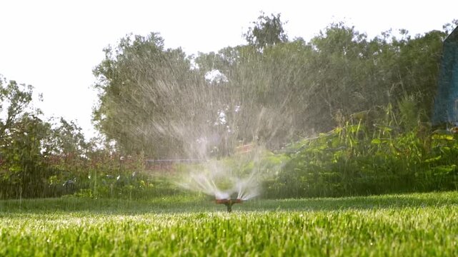 Sprinkler waters vibrant green lawn. Sunlight glints on misty spray. Trees form a lush background. Garden stays fresh and green. Perfect for landscaping or outdoor themes