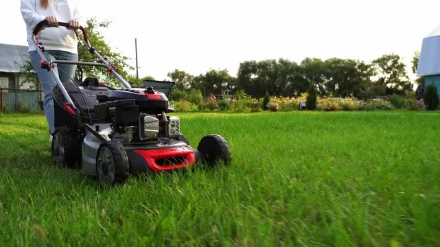 Person mows vibrant green grass in sunny garden. Machine moves steadily over tall grass, leaving neat paths behind. Background shows trees, fence, and distant shed under warm light