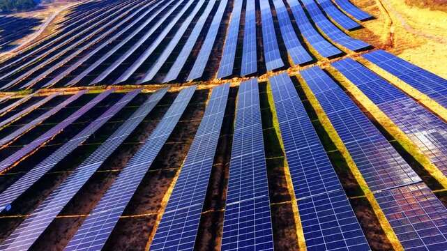 Large scale solar farm rows under golden light. Close aerial perspective captures diagonal panel lines and sandy access paths at dusk.