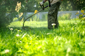 Obraz premium Lush green grass shivers under a grass cutter's path