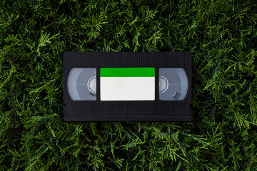 Obraz premium Vintage VHS video tape on green branches