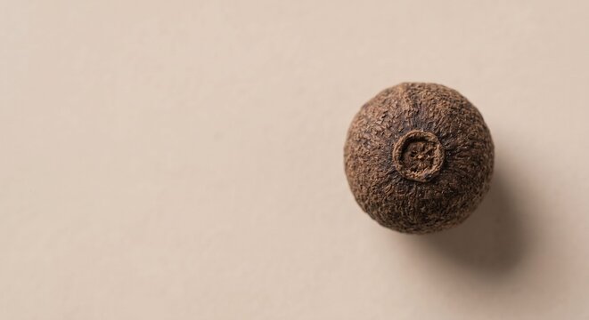 Single whole dry allspice berry minimal culinary stock