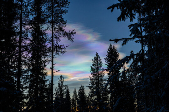 nacreous clouds 