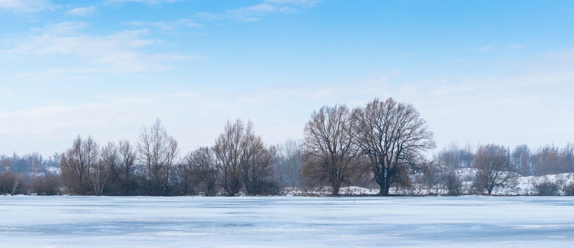 Panoramic winter landscape with bare trees on snow covered field under blue sky