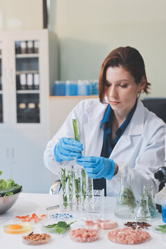 Scientists in lab coats work with plants in a modern lab, focusing on research and experimentation under bright, sterile conditions.