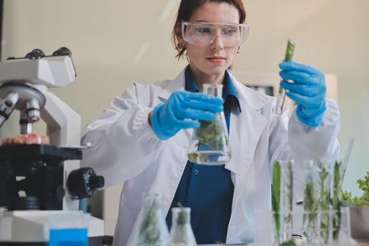 Scientists in lab coats work with plants in a modern lab, focusing on research and experimentation under bright, sterile conditions.