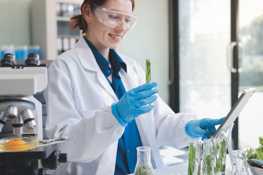 Scientists in lab coats work with plants in a modern lab, focusing on research and experimentation under bright, sterile conditions.