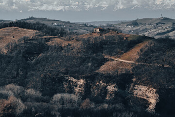 Fototapeta premium Rolling rural hills with bare winter trees, patchwork fields, distant mountains, muted sky, and winding contours across quiet countryside in soft natural light, with landscape, countryside, rural