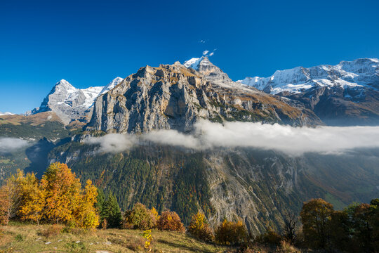 Lauterbrunnen valley filled with thick sea of clouds below rugged alpine cliff and colorful autumn forest. Murren, Canton of Bern, Switzerland.