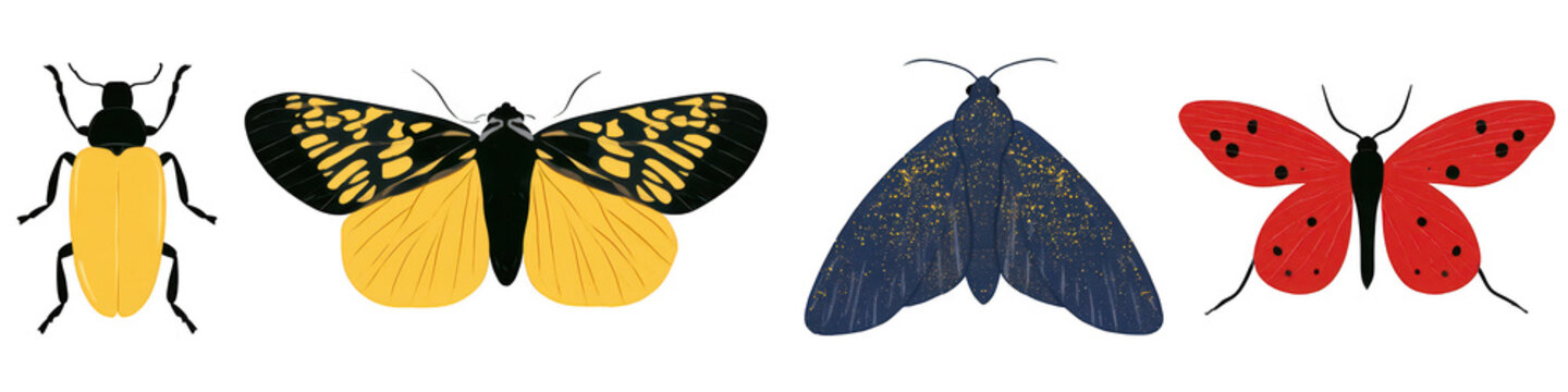 Set of four detailed insect illustrations on transparent background
