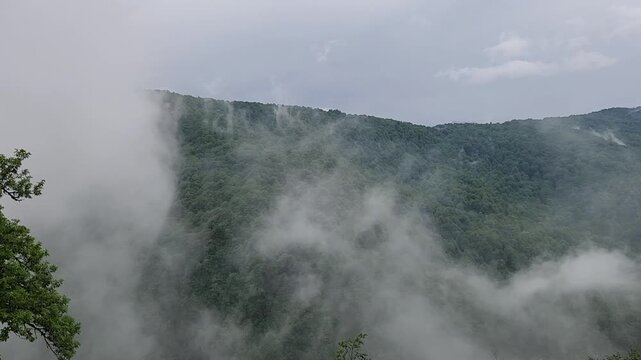Moody mountain landscape with thick fog and low clouds moving through a dense green forest on a summer day. Mystical and ethereal scenery of nature's beauty in a mysterious, foggy environment