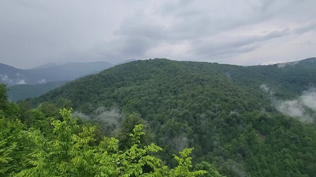 Evaporation creating beautiful mist rising from a lush green temperate rainforest covering mountain slopes on a cloudy day, a stunning display of nature's water cycle in a wild environment