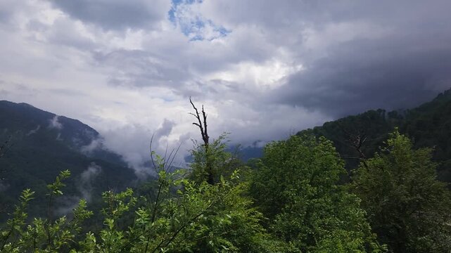 Heavy gray clouds and dense fog rolling over a lush green mountain forest after a rainstorm, creating a moody and dramatic atmosphere in the remote wilderness during an overcast summer day