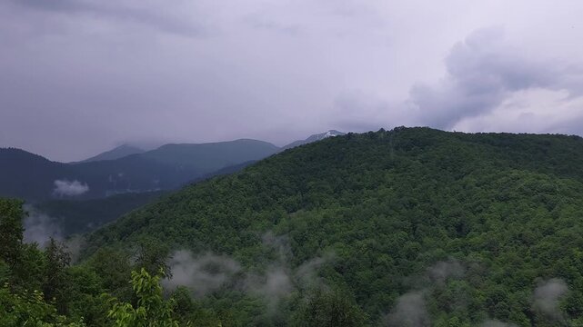 Evaporating fog rising from a dense green mountain forest after a summer rain, with dramatic clouds moving across the sky, revealing distant snow capped peaks in the background