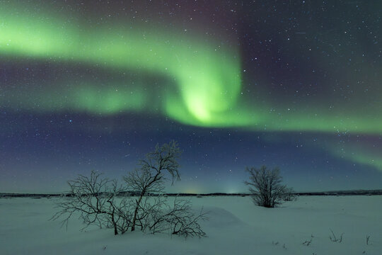 night landscape with auroras