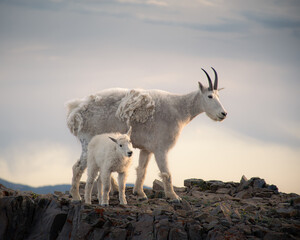 Mom and baby © Robert