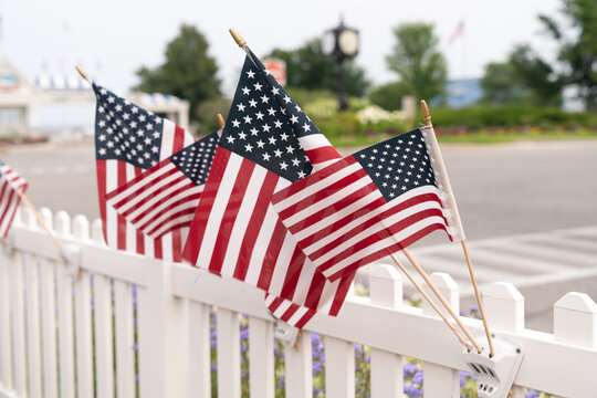 American flag displayed among blooming flowers with a lush green park in the background. Patriotic outdoor scene ideal for Independence Day, Memorial Day, Veterans Day, and national pride themes.