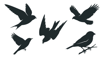 Fototapeta premium Five detailed black bird silhouettes captured in various graceful flight patterns and a perched resting pose