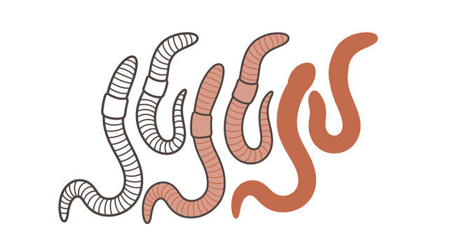 Earthworms illustrated in diverse styles showing line art and flat colors on a clean background