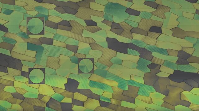 Aerial Farmland NDVI False Color Map With Drone Survey Swath And Center Pivot Irrigation Seamless Loop in cool slate tones