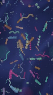 Gut microbiome bacteria ecosystem rod coccus and spiral microbes dividing in mucus seamless loop in deep indigo tones vertical 9:16