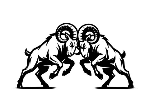 Bighorn Sheep Rams Fighting Battering Heads Black and White Mascot Art