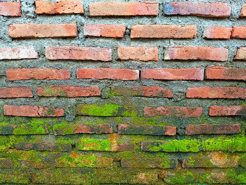 Rustic red brick wall with green moss growing on the bottom background weathered structural exterior backdrop