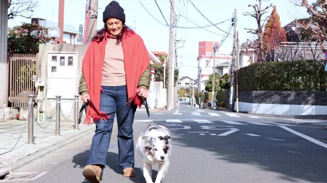 Woman walking a blue merle australian shepherd dog in a residential Japan street