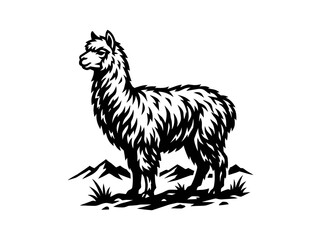 Fototapeta premium Stylized Black and White Alpaca Vector Illustration for Agriculture and Nature - Monochromatic Animal Line Art