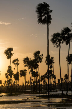 Atardecer en Ba&ntilde;ado la estrella, Formosa.