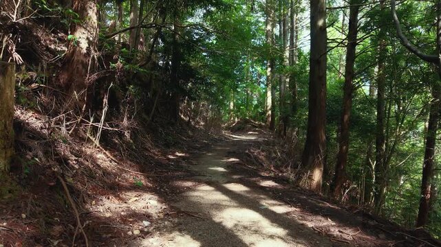POV Walking Shot on the Choishi-michi Pilgrimage Trail Between the 36th and 35th Stone Markers, Koyasan, Wakayama, Japan　主観移動撮影・高野参詣道 町石道「36町石・35町石区間」和歌山県高野町