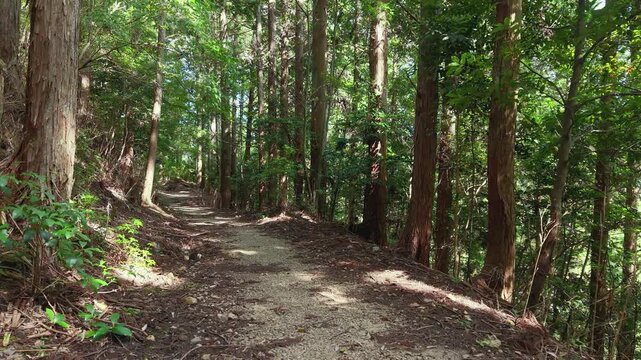 POV Walking Shot on the Choishi-michi Pilgrimage Trail Between the 36th and 35th Stone Markers, Koyasan, Wakayama, Japan　主観移動撮影・高野参詣道 町石道「36町石・35町石区間」和歌山県高野町