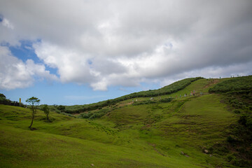 Fototapeta premium Qingtiangang Trail, Yangmingshan, Taipei, Taiwan