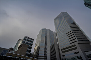 Fototapeta premium Low angle view of glass high rise office buildings in the central business district, showing a North American skyline, modern architecture and winter conditions under a cloudy sky.