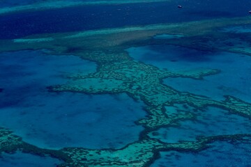 Aerial view of coral reef in the Great Barrier Reef © Alejandro