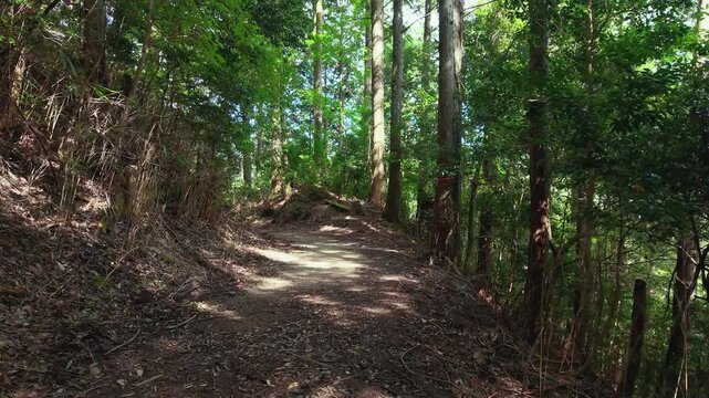 POV Walking Shot on the Choishi-michi Pilgrimage Trail Between the 36th and 35th Stone Markers, Koyasan, Wakayama, Japan　主観移動撮影・高野参詣道 町石道「36町石・35町石区間」和歌山県高野町