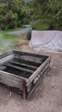 A traditional Māori hangi steam cooking box steaming in Tokaanu, New Zealand, used for geothermal underground cooking.