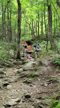A group of teenage climbers are hiking in the mountains.
One of the girls had an injured left leg and was wearing a brace.