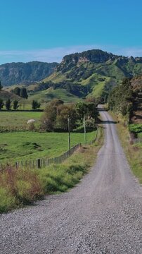 A scenic gravel road winds through green countryside and rolling hills in Waitomo, New Zealand, offering a peaceful rural travel landscape view.