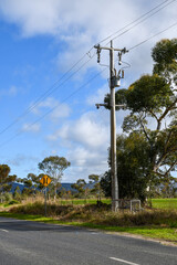 rural australian scene with power lines along country road © Veronica